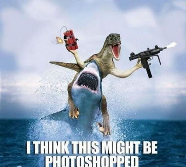 What can the funniest shark memes on the internetz teach us about