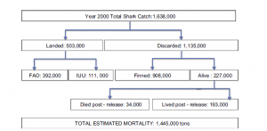 Figure 2 from Worm et al. 2013. "Estimating global shark mortality for the year 2000. Included are reported (from FAO) and illegal, unreported, and unregulated (IUU) landings as well as shark discards. Total mortality was calculated as the total catch minus the number of sharks which survived discarding. All ﬁgures were rounded to nearest 1000 metric tons" 
