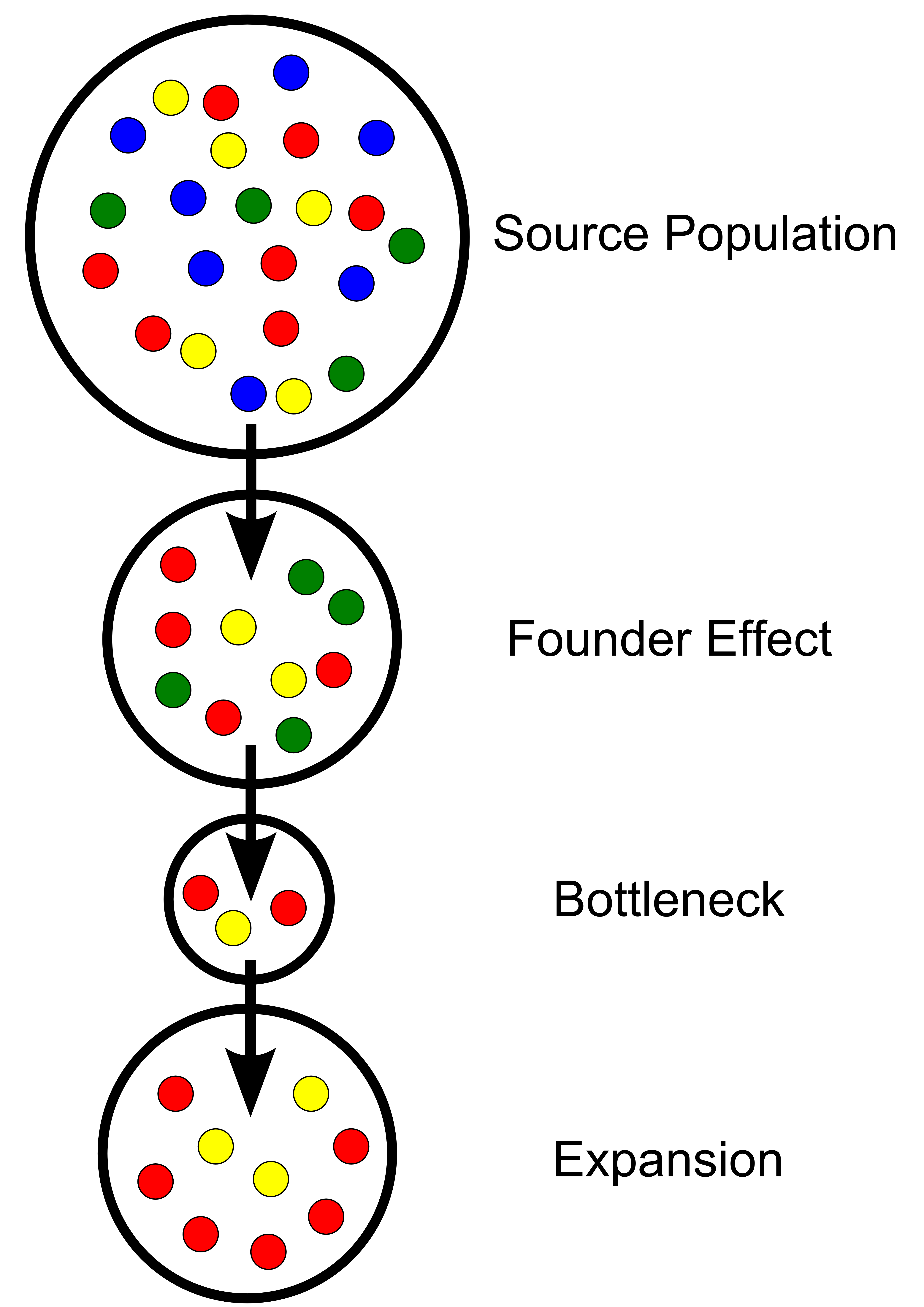 The Conservation Context in Population Genetics, Part 1