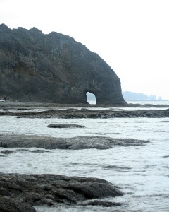 What Forks and the Quileute are known for