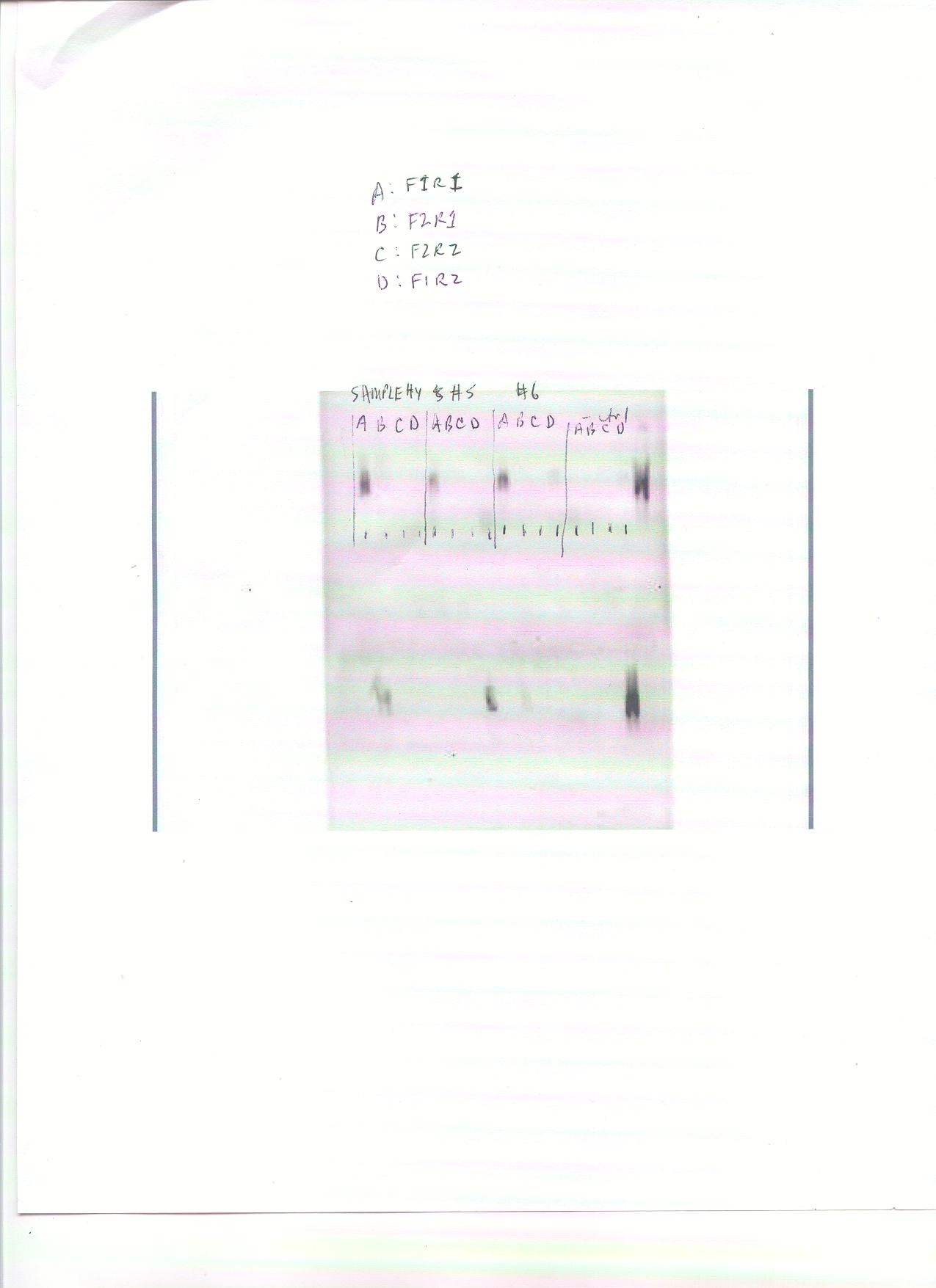 WhySharksMatter's first PCR!