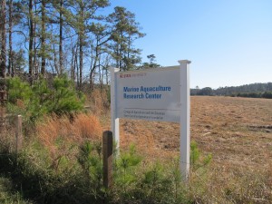 The entrance to the MARC facility. Scenic. Photo by Andrew David Thaler