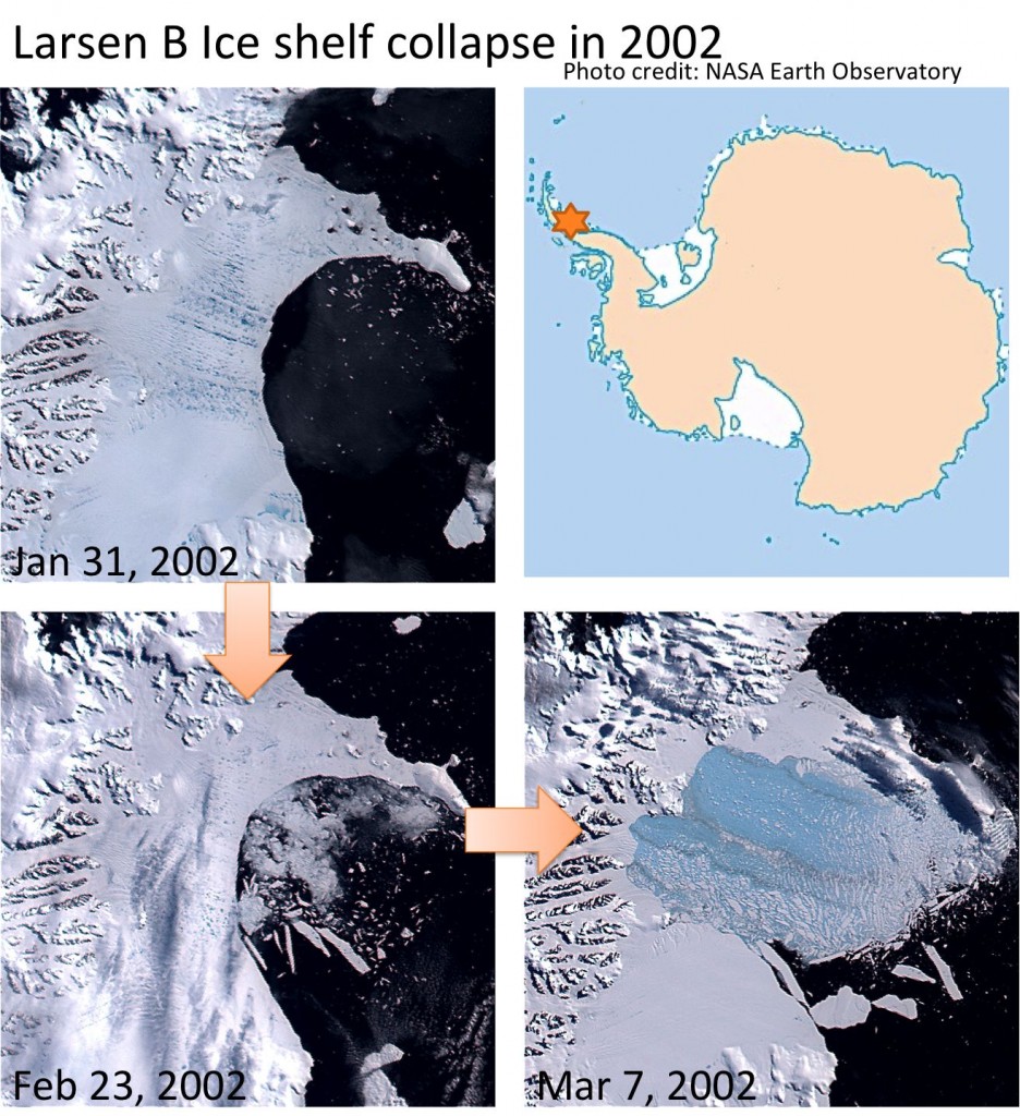 The progressive collapse of the Larsen B ice shelf in 2002