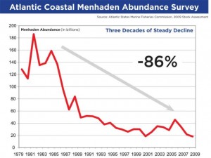 From a menhaden stock assessment by the Atlantic States Marine Fisheries Commission