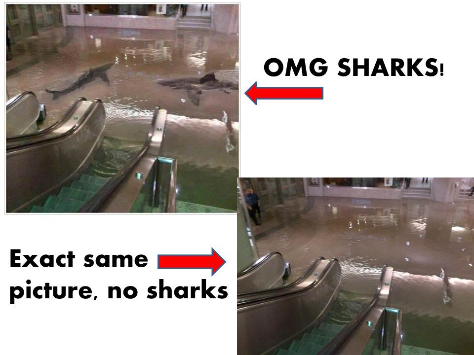 This building really flooded, but there are not sharks in it.