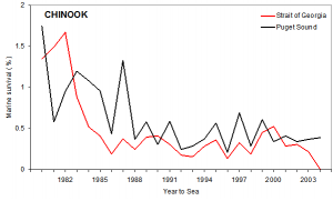 From Beamish 2011. Survival trends for Puget Sound and Strait of Georgia Chinook salmon.