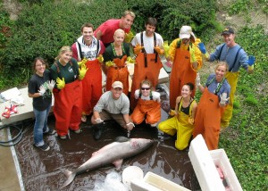 The CSULB Shark Lab team prepares to work up a juvenile great white shark