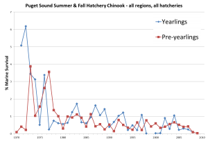 Average marine survival for Puget Sound hatchery Chinook stocks. These data are available from the RMIS database (rmpc.org). Note that yearling Chinook are released after a longer hold time and at a larger size.