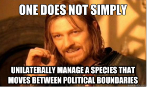 Wise words from Boromir about the need for international cooperation in managing highly migratory species 
