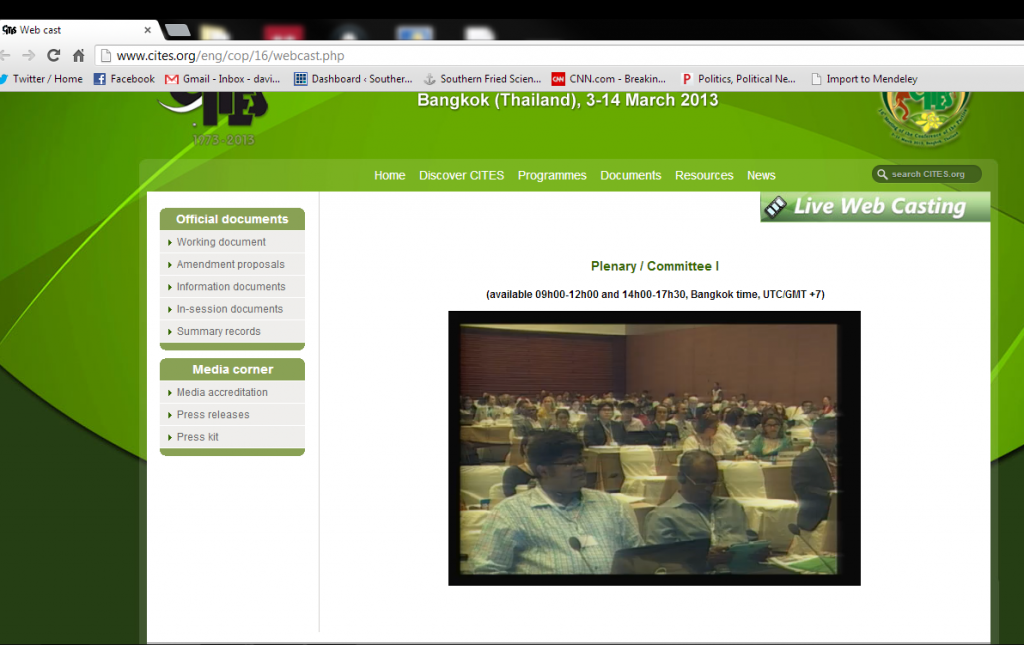 A screenshot of the webcast