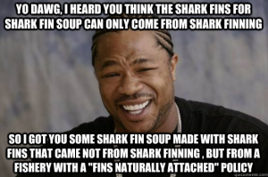 Xzibit things that you should know that not all fins enter the market through finning