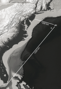 Figure 1B from Hammerschlag et al. 2011, "Range extension of the Endangered great  hammerhead shark Sphyrna mokarran in the Northwest Atlantic", showing the long distance migration of a satellite tagged great hammerhead shark. 