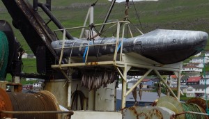 Herring and other fish hung out to dry on a trawler in Klaksvík. Photo by ADT.