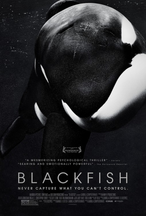 Blackfish: the Science Behind the Movie