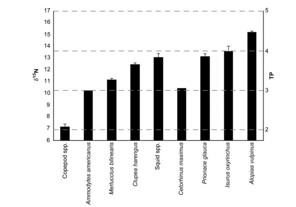 Figure 1 from Estrada et al. 2003. Caption reads: "d15N values and estimated trophic position (TP) for all species in the study (mean 