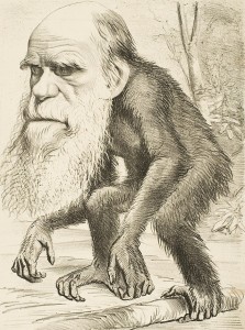 1871 editorial cartoon depicting Charles Darwin as an ape. (Photo credit: Unknown artist in 1871 from The Hornet newspaper - no longer in publication)