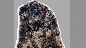 Fossilized bacteria community in a section of a 1.8 billion year old rock. (Photo credit: Schopf et al. 2015, PNAS)