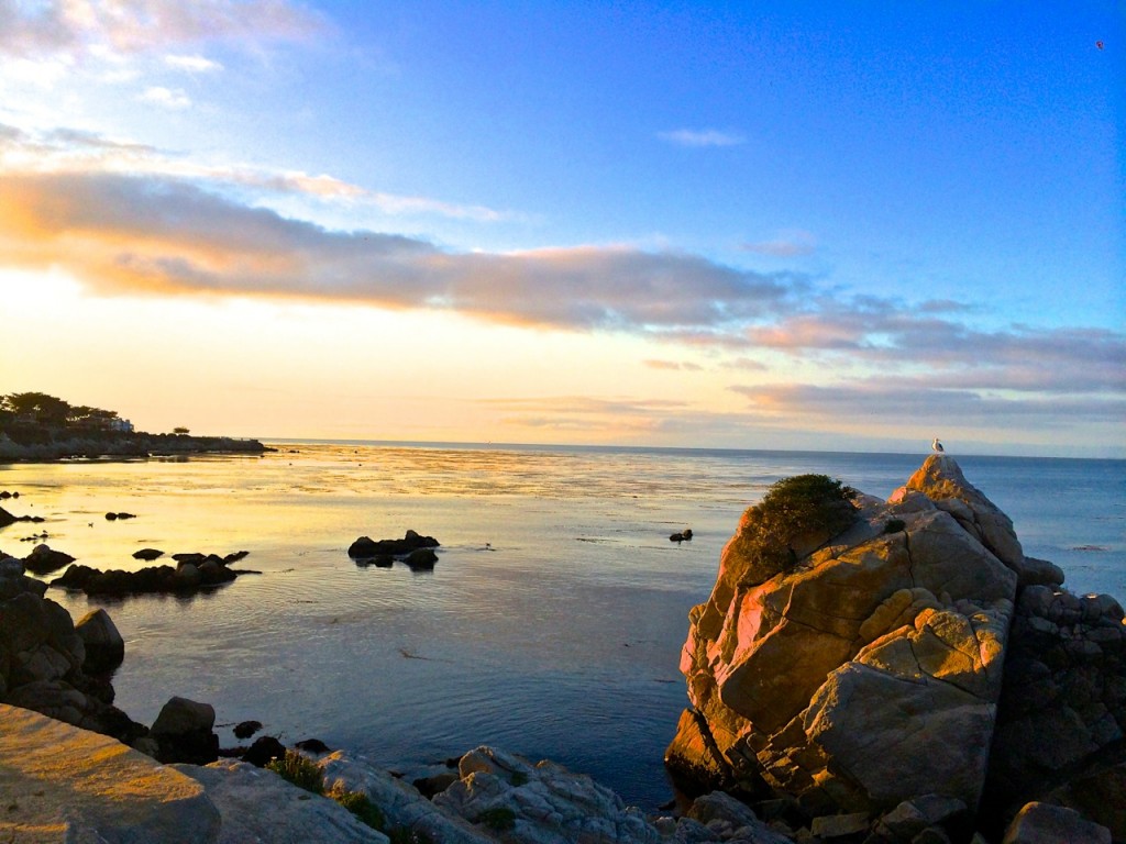 Monterrey Bay. Photo by Stacy Aguilera 