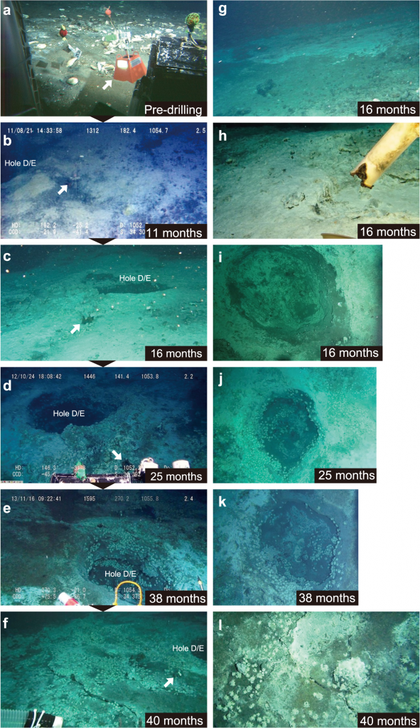 Fig 3. Temporal sequence of landscape at/around Hole D/E. From Nakajima et al. 2015.