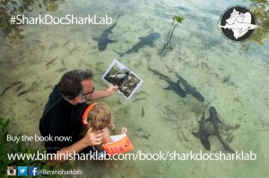 Reading Shark Doc, Shark Lab to the next generation...next to some sharks! 