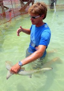 Our Director of Field Research, Christian Pankow, teaches participants about the ecology and biology of lemon sharks”