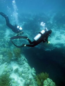 Field School offers researchers and students opportunities to engage with and study tropical marine ecosystems. Photo credit: Kristine Stump