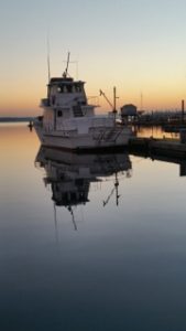 The R/V Garvin is an exceptional platform for research and education with space for 16 overnight passengers and a day charter capacity of 35 people. We are able to provide complete program support for research voyages, including housing and feeding your research team and helping with equipment logistics