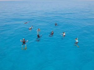 Students prepare for snorkel on a reef to practice coral identification skills