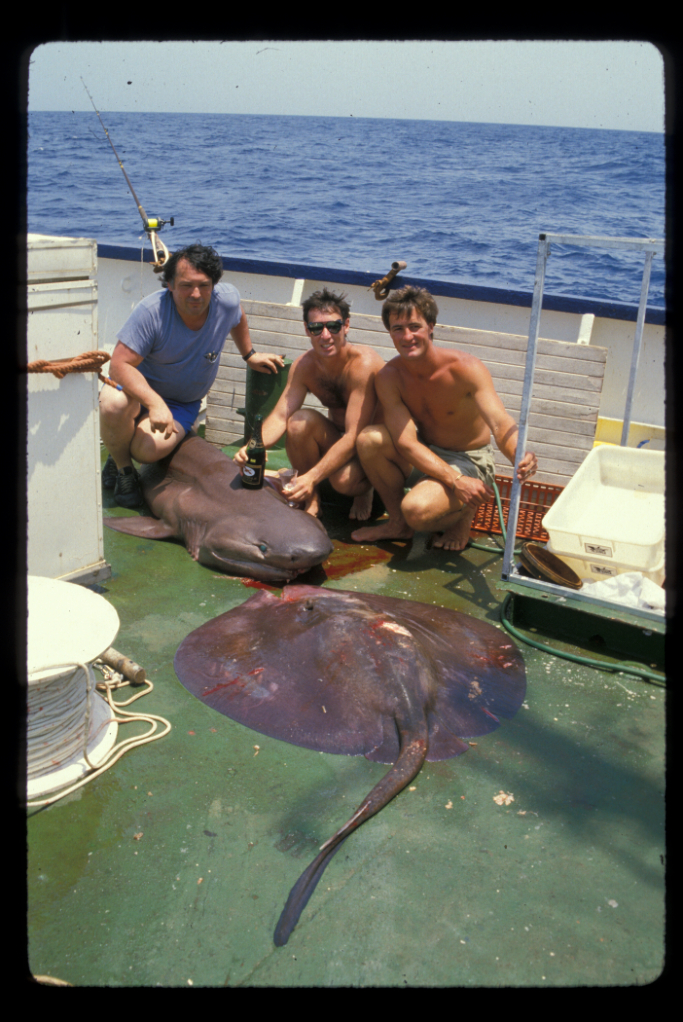 The author with Leonard Compagno and Paul Cowley at sea off northern kwaZulu-Natal, South Africa. Photograph credit David Ebert