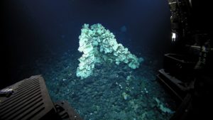 Large hexactinellid sponge found in Papahānaumokuākea Marine National Monument (Photo credit: NOAA's Office of Exploration and Research)