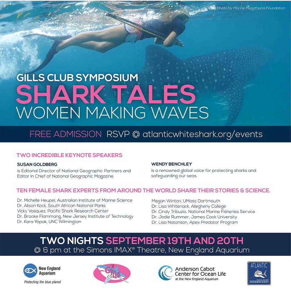 Gills Club Shark Tales: An online and in-person sharkstravaganza 19-20 September at NEAQ!