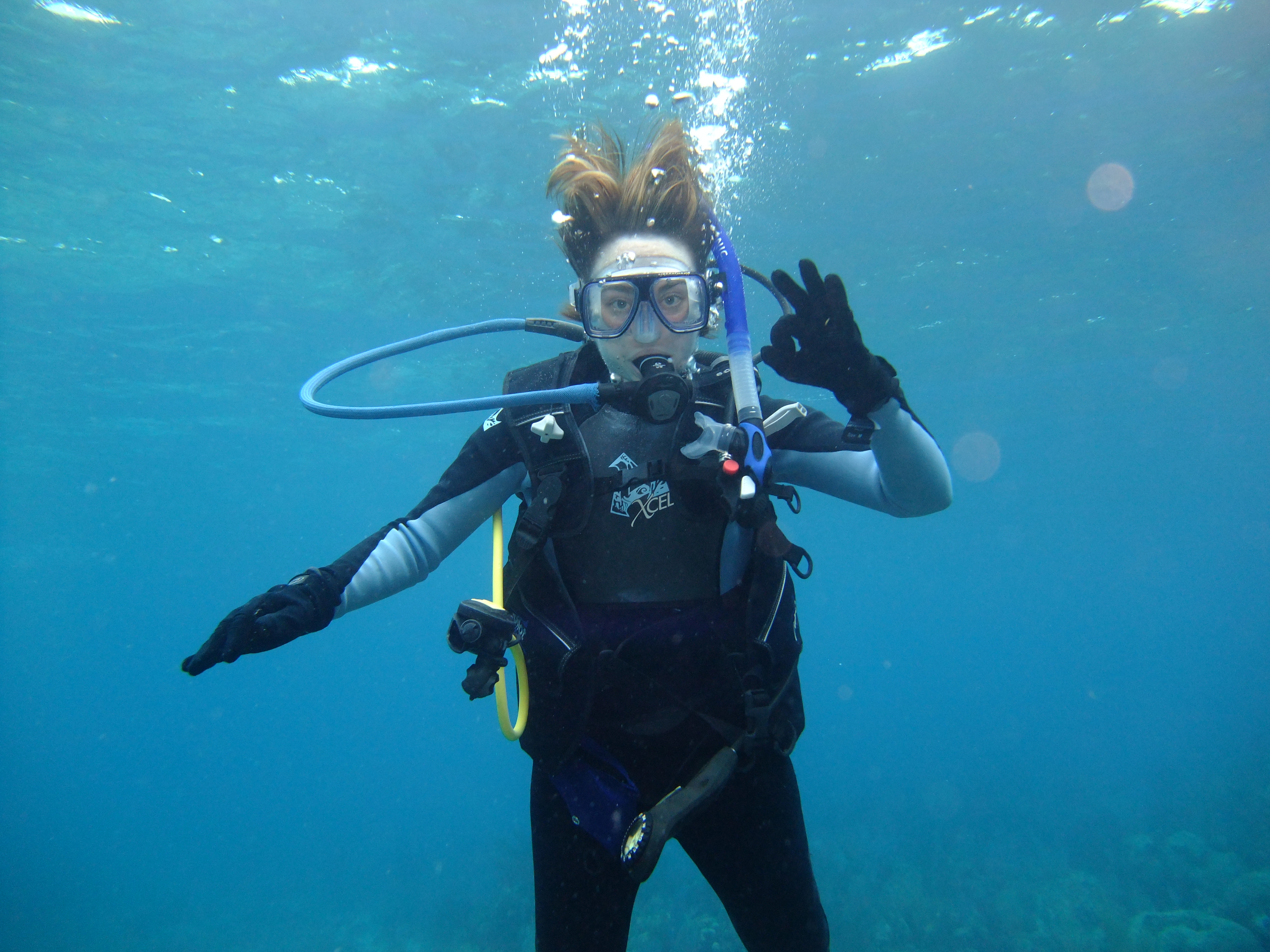 Surviving a Double Hurricane (a first person report of the Puerto Rico disaster by Heather Cooke)