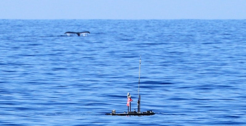 Europa, an autonomous wave-and-solar-powered robot, during its mission to search for humpback whales on the high seas of the Pacific Ocean.Jupiter Research Foundation