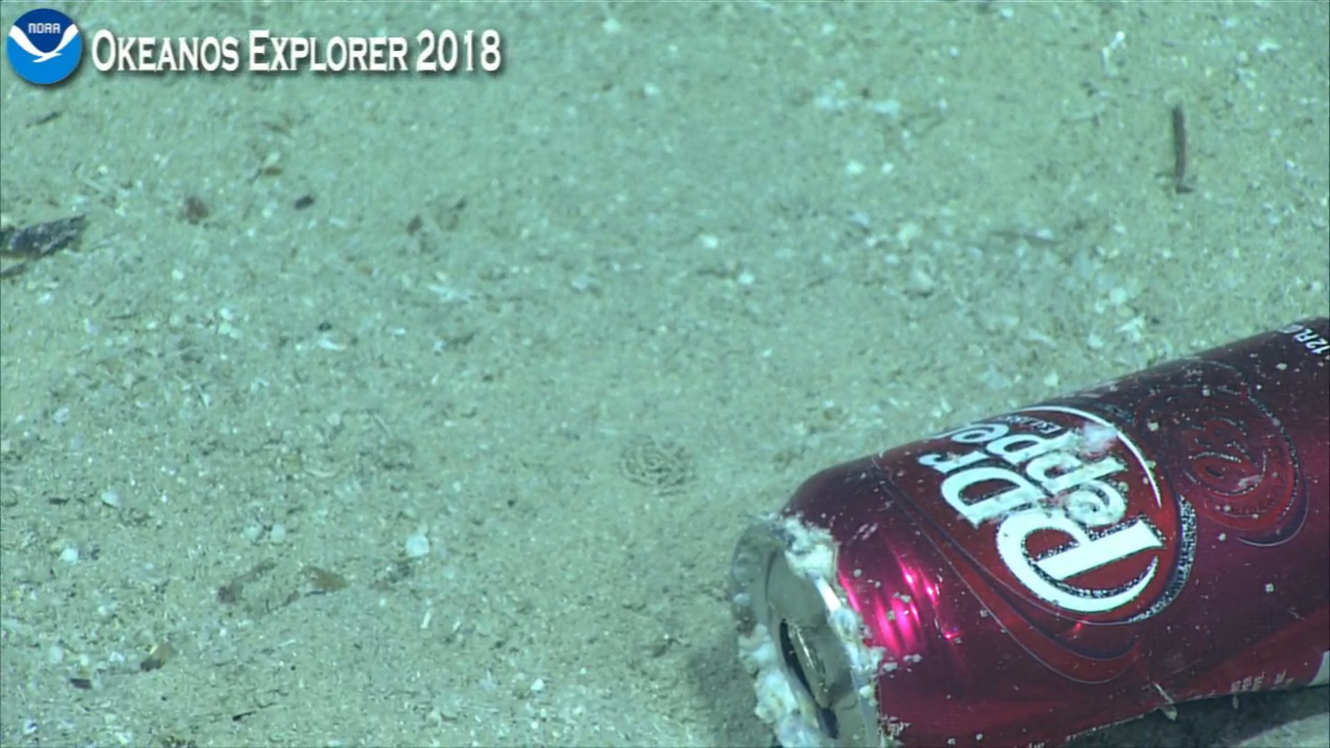 Crab industry in crisis, world's largest deep-sea mining vessel takes to sea, Bayou Women, ocean trash, and more! Monday Morning Salvage: May 7, 2018
