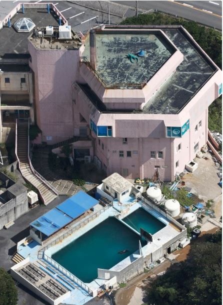 This photo taken Sept. 19, 2018, from a Kyodo News helicopter shows a pool for a bottlenose dolphin at the-defunct Inubosaki Marine Park Aquarium in Choshi, Chiba Prefecture, near Tokyo. (Kyodo)