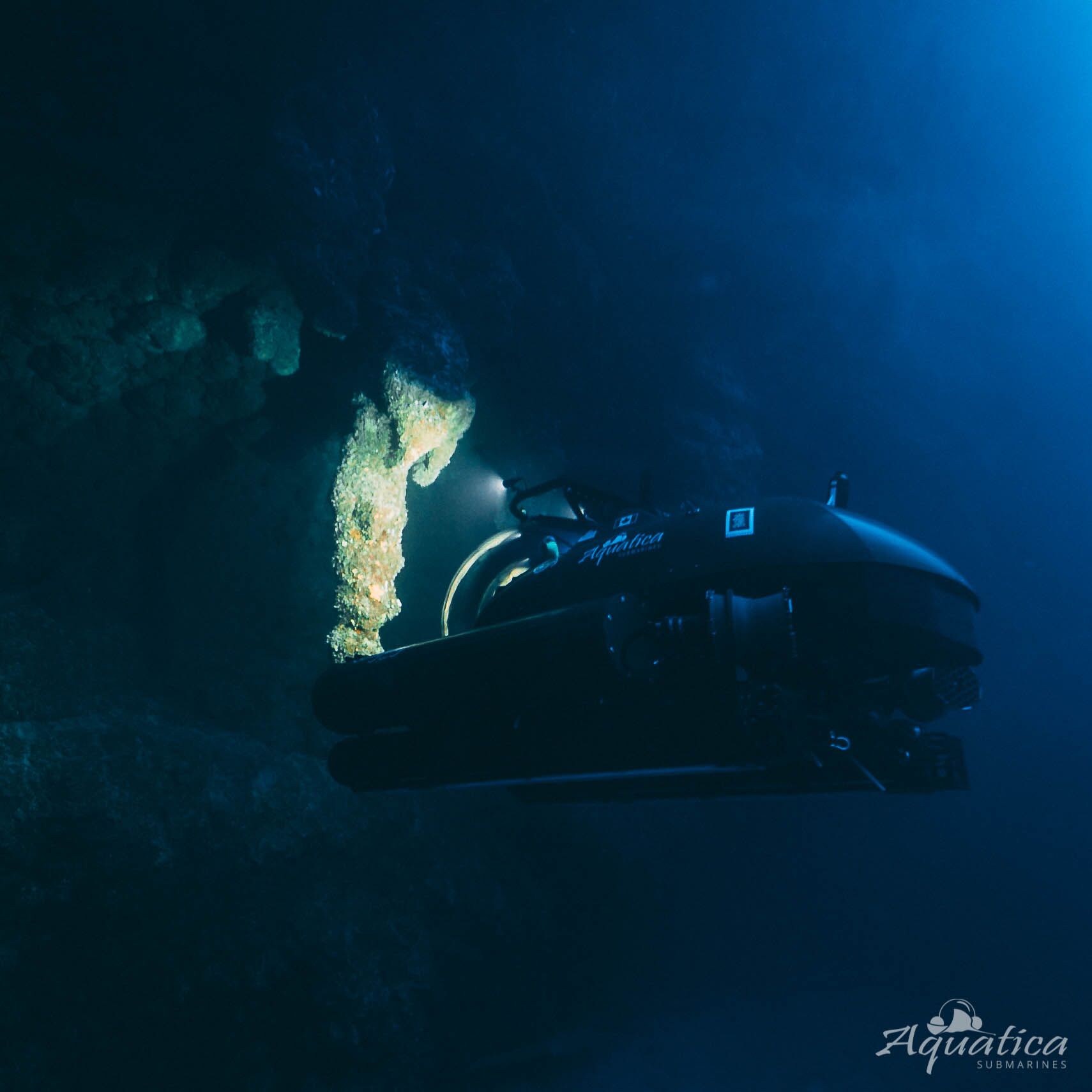 Logs from a majestic pit of acid: Diving Belize’s Blue Hole with Erika Bergman.