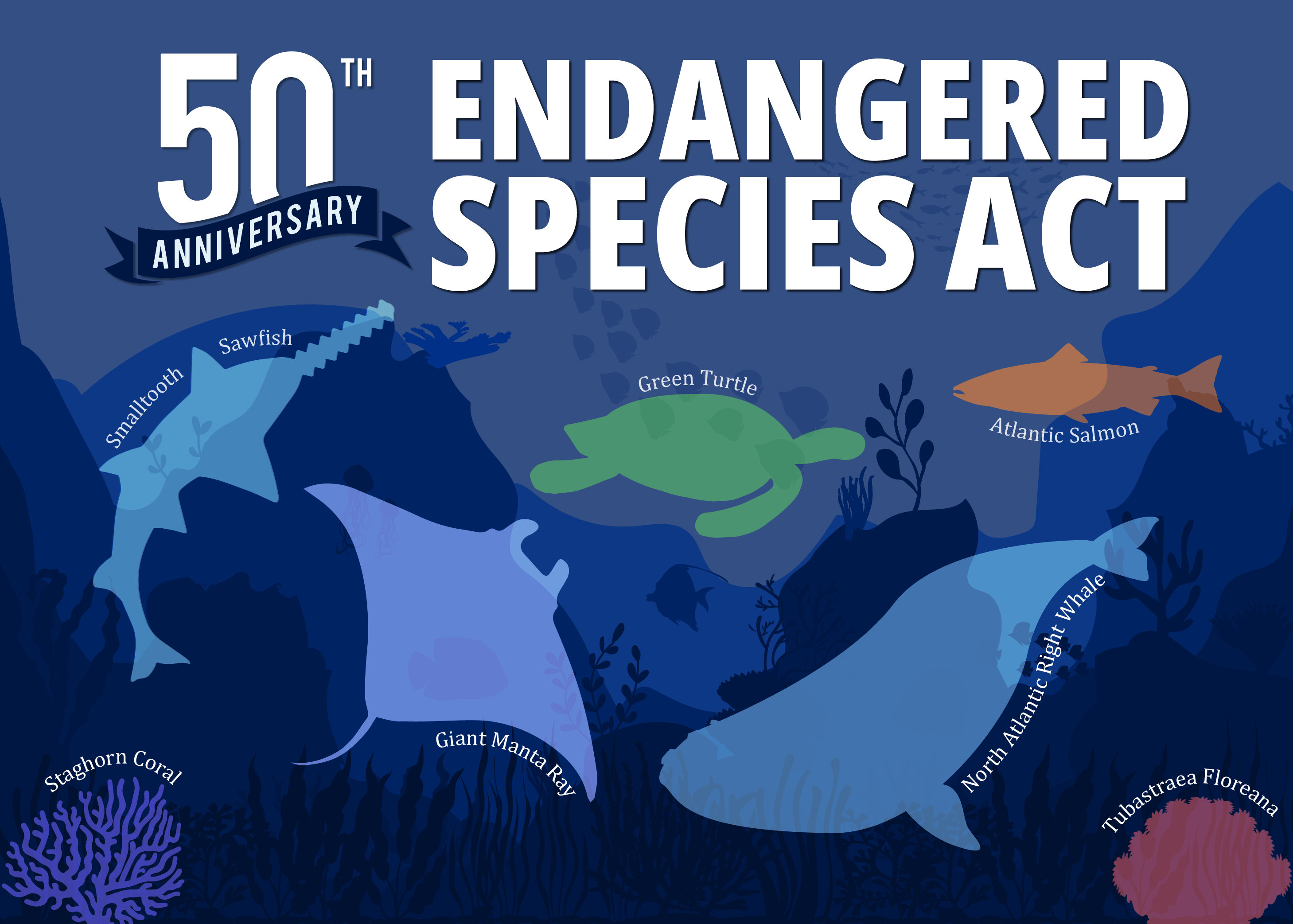After 50 years of conservation, what’s next for the Endangered Species Act?