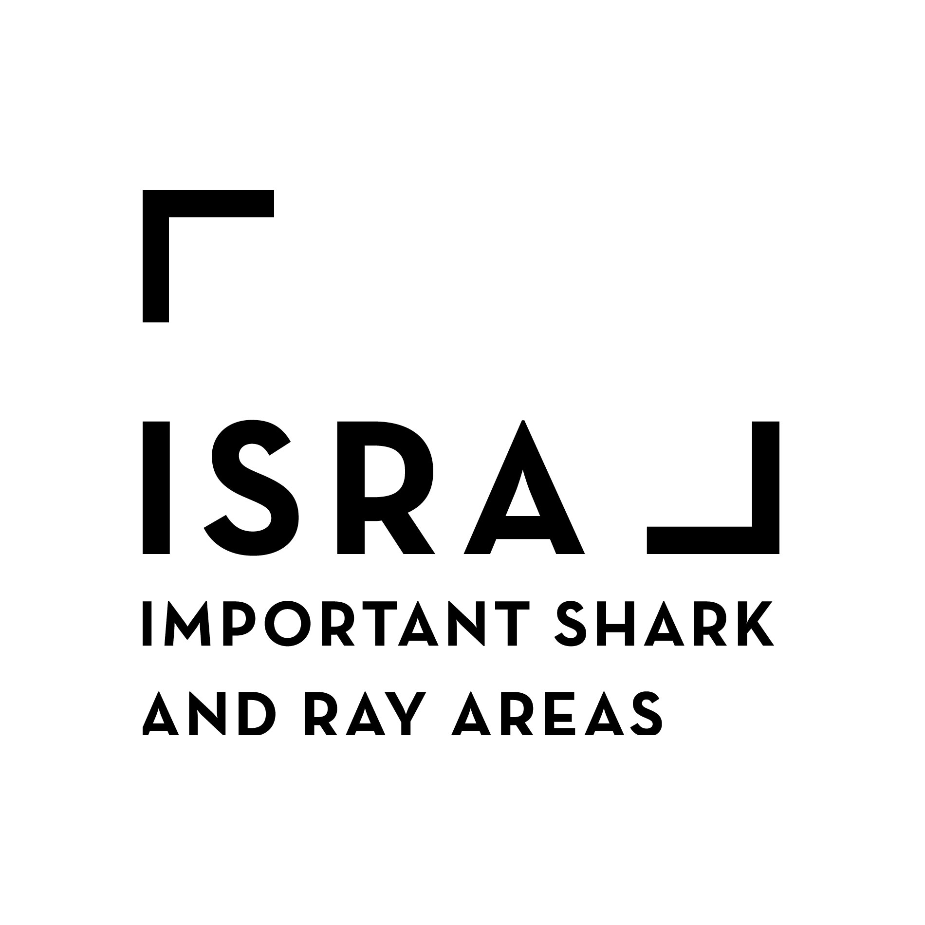Here's how to help identify Important Shark and Ray Areas in North America!
