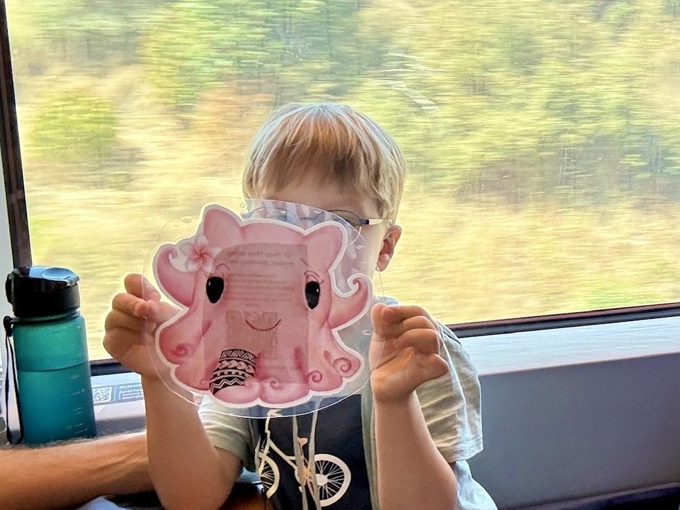 small boy holding Miss Abyss Dumbo Octopus