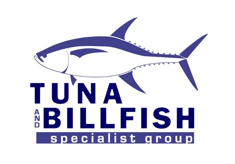 5 things I learned helping to reassess the global conservation status of every species of tuna and billfish