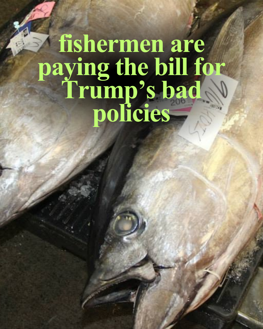REPORT: The Trump Administration’s War in Iran Is Harming Fishermen in Hawaii and Across the Country
